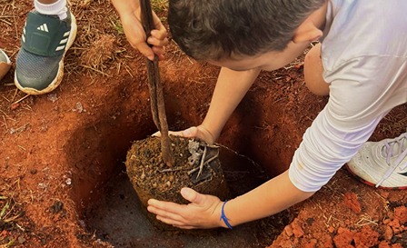 criança plantando muda de árvore